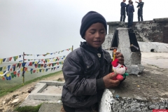 Teddy Himalaya